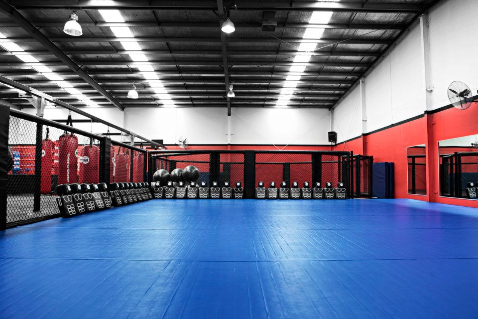 MMA cage beside the main matted training floor