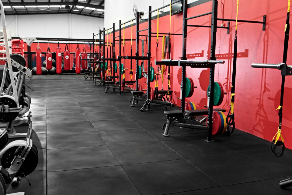 Strength and conditioning area with squat racks and free weights