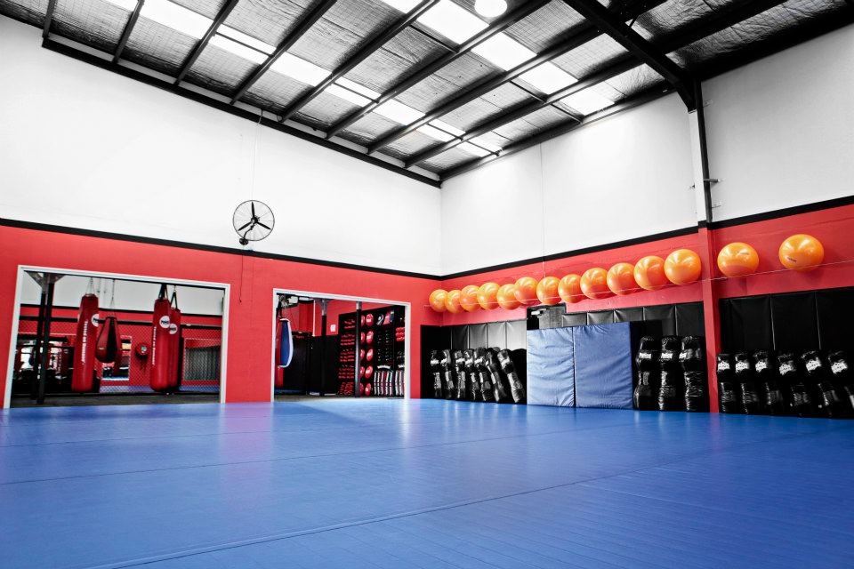 Open matted training floor with wall-mounted pads