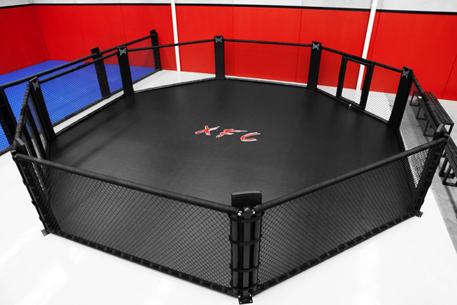 Full-size MMA cage with matted floor